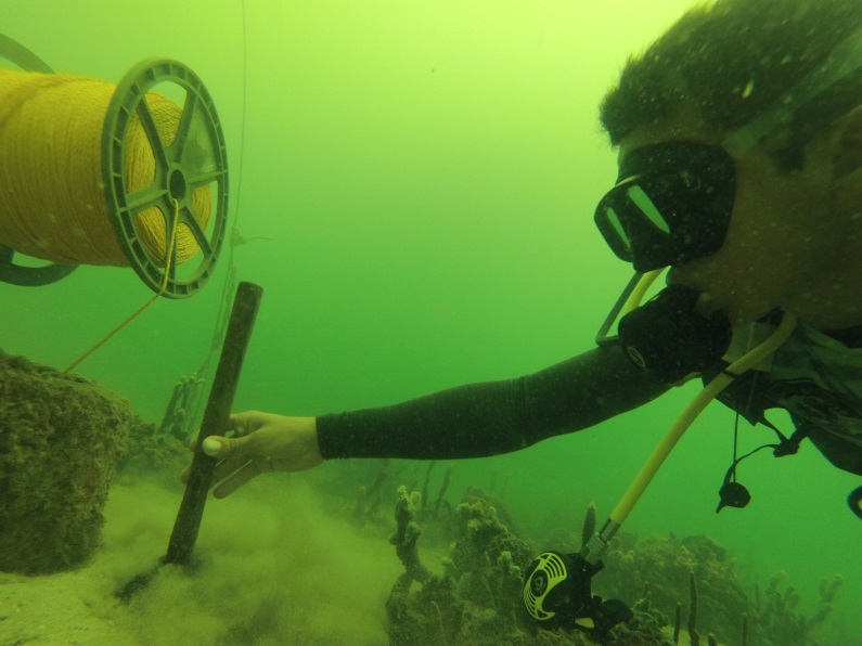 Ejercicios en el parque temático de buceo “Ciénaga de los Vásquez”. (Foto archivo CIOH)