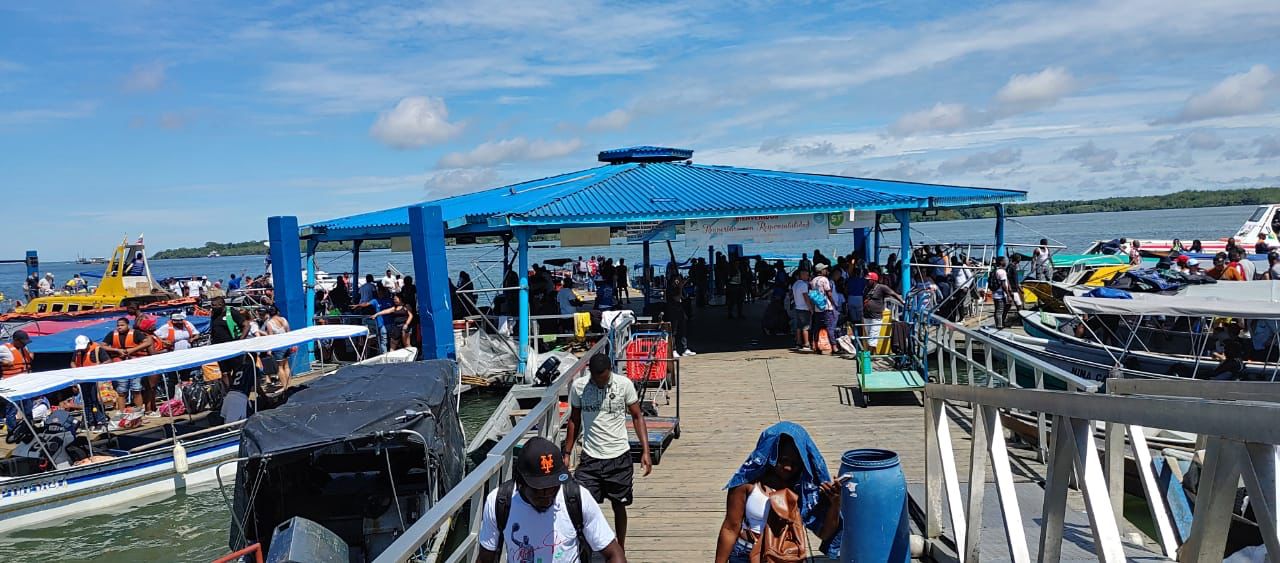 El avistamiento de ballenas atrae el turismo en el Pacífico colombiano: Dimar