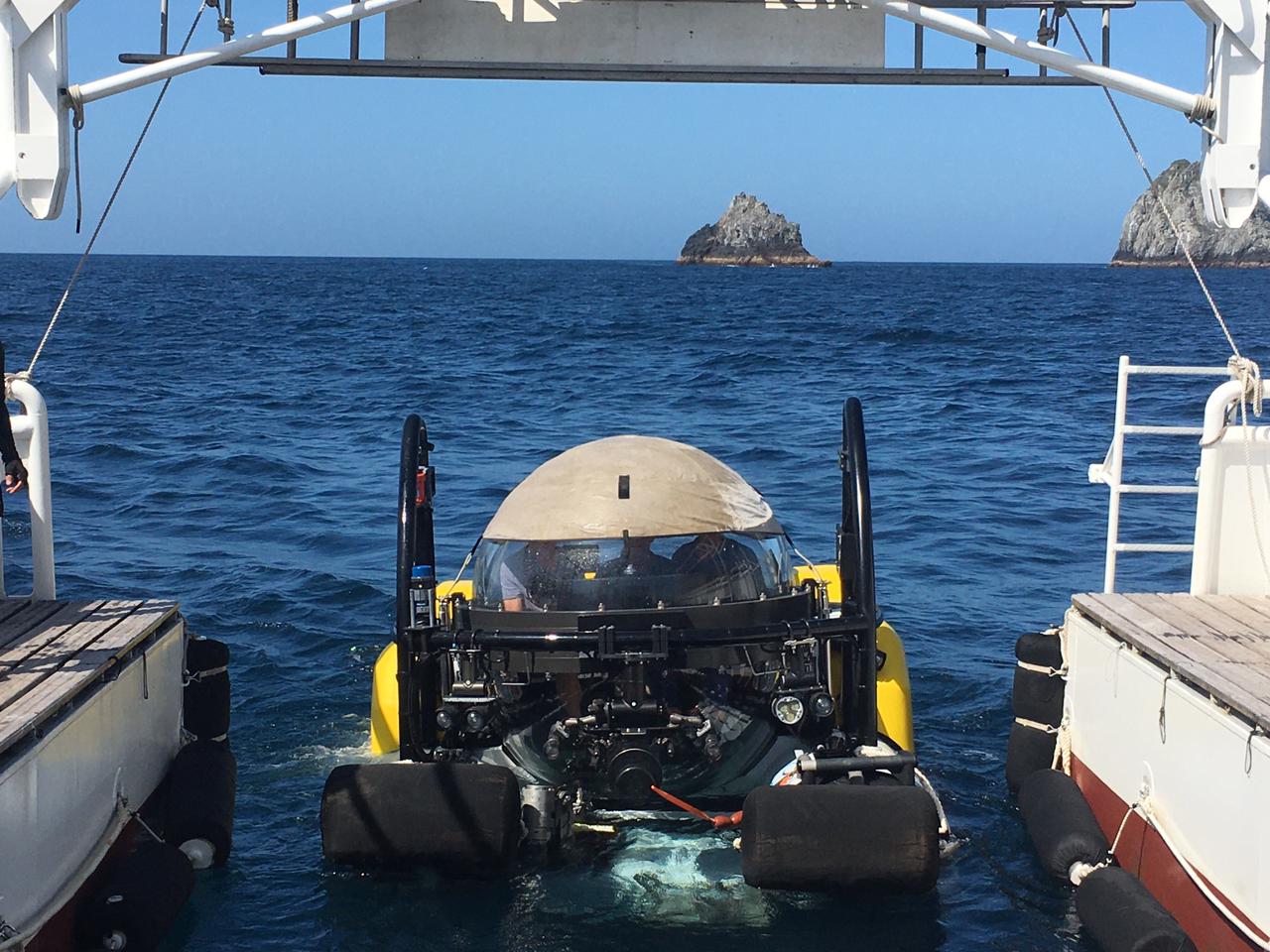 Dirección General Marítima apoya investigación científica en la Dorsal de Yuruparí y la Isla de Malpelo