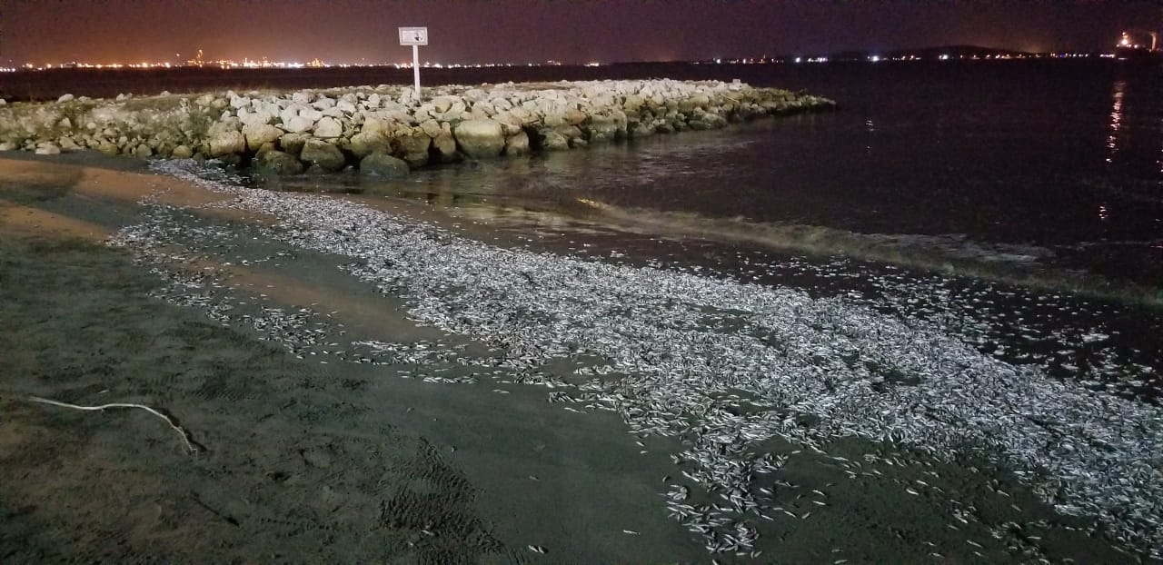 La Autoridad Marítima Colombiana contribuye al conocimiento de la calidad ambiental marina de la bahía de Cartagena