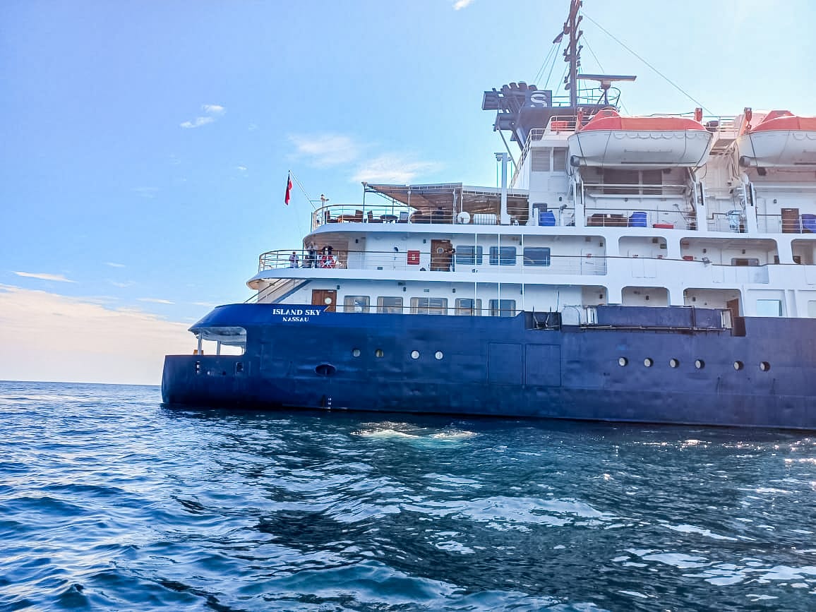 Cerca de 90 turistas internacionales llegaron al Parque Nacional Natural Gorgona en el crucero Island Sky