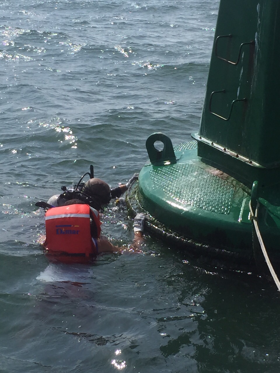 Recolección de organismos sésiles, en la Bahía de Tumaco.