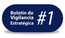 boletin de vigilancia estrategica #1