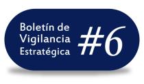 boletin de vigilancia estrategica #6