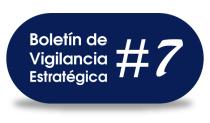 boletin de vigilancia estrategica #7